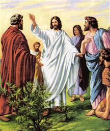 Jezus zegt moeilijke dingen waardoor vele van zijn dicipelen hem verlaten