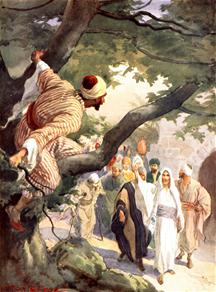 Zacheus kijkt vanuit de boom toe als Jezus voorbij loopt